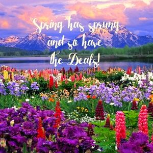Blooming Deals 🌻